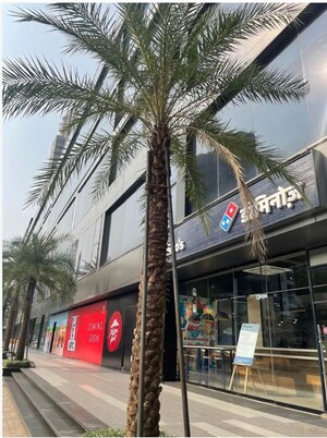  Showroom – Exterior View View at ID Vicino Mall, Andheri West - for Rent