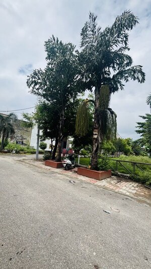 4 BHK Independent House – Exterior View View at Akansha Ambience, Pallavpuram - for Sale
