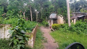 Plot Area in  Plot at Chowhati – for Sale