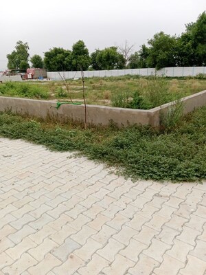 Plot Area in  Plot at Gwalior Road – for Sale