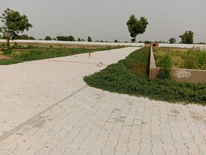 Plot Area in  Plot at Gwalior Road – for Sale