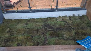 Plot Area in 2 BHK Apartment at Gera Planet Of Joy, Kharadi – for Rent