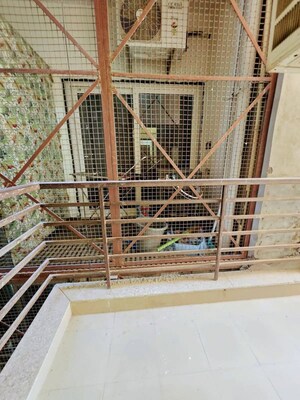 1 BHK Builder Floor – Exterior View View at Sector 40 - for Rent