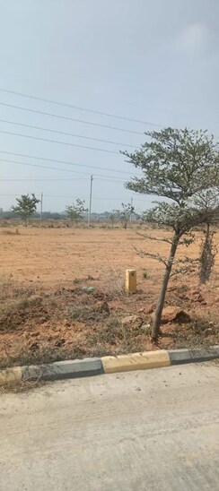 Plot For Sale in Fortune Butterfly City