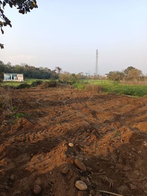 Plot Area in  Plot at Akhnoor – for Sale
