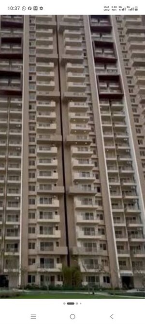 4 BHK Apartment For Rent in ABA Ivy County, Sector 75