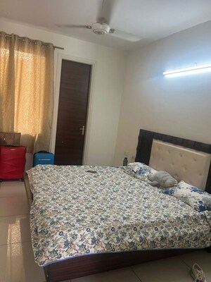 Bedroom in 3 BHK Apartment at Omaxe The Resort, South Mullanpur – for Rent