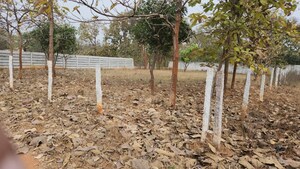 Plot Area in  Plot at Batasingaram – for Sale