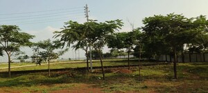 Plot Area in  Plot at Dharampura – for Sale
