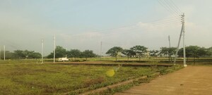  Plot For Sale in Dharampura