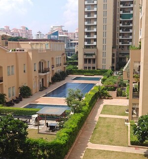 3.5 BHK Apartment For Rent in Emaar The Palm Springs, Sector 54