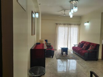 3 BHK +  1600 Sq.Ft. Apartment in Amrapali Terrace Homes