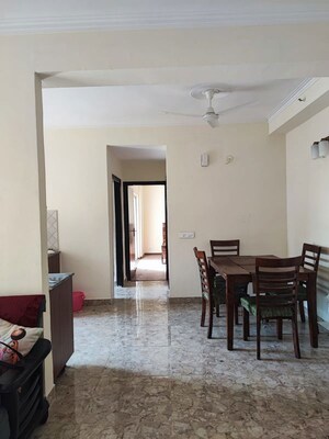Gym in 3 BHK Apartment at Amrapali Terrace Homes, Tech Zone 4 Greater Noida – for Rent