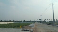 Plot For Sale in Pathapadu
