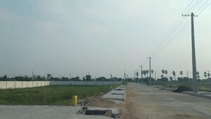  Plot For Sale in Pathapadu