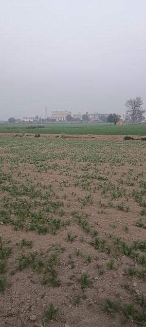 Plot Area in  Land at Jind ho – for Sale