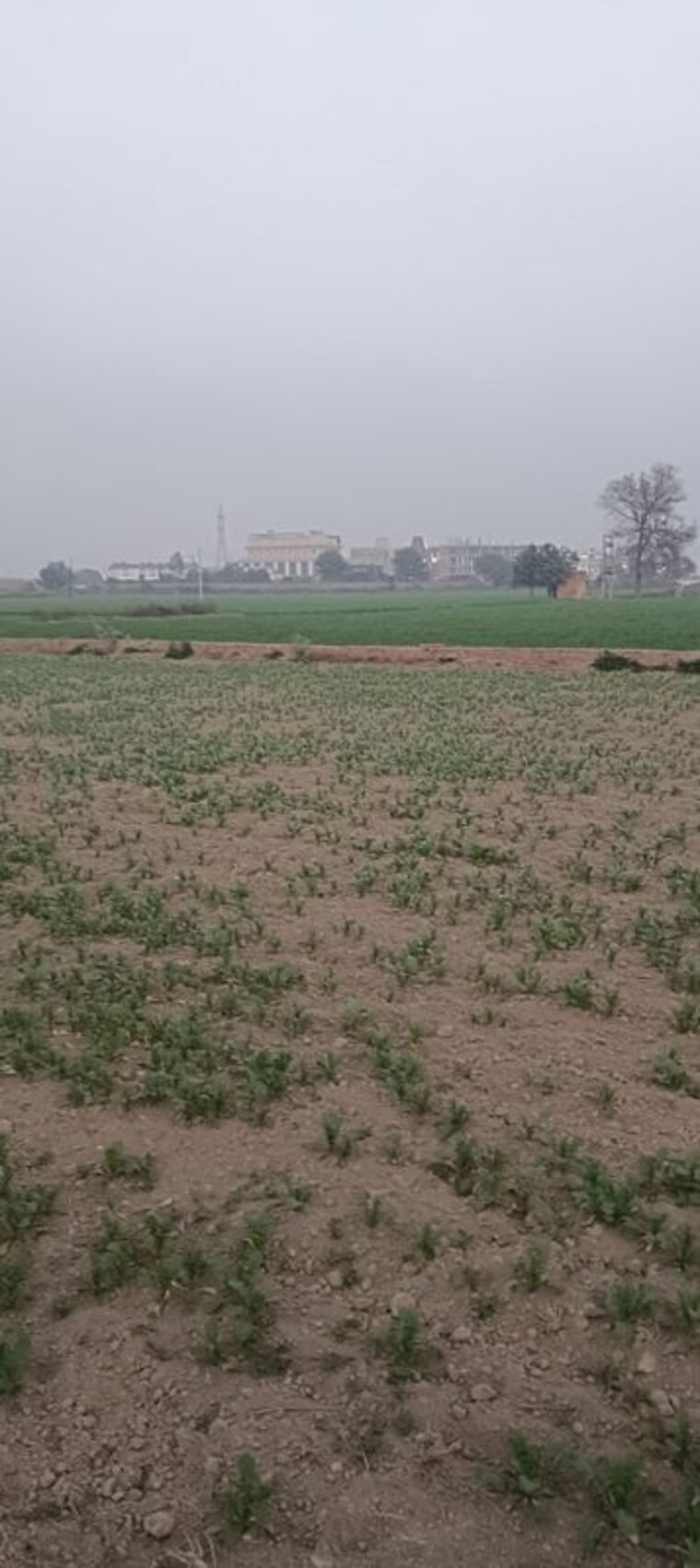 undefined, jind ho Commercial Land 30 Acre In Jind ho Jind 10694513