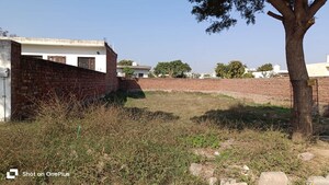  Office Space For Sale in Sector 82