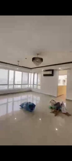3 BHK Apartment For Rent in Jaypee Kalypso Court, Sector 128