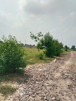 Plot For Sale in Sohna