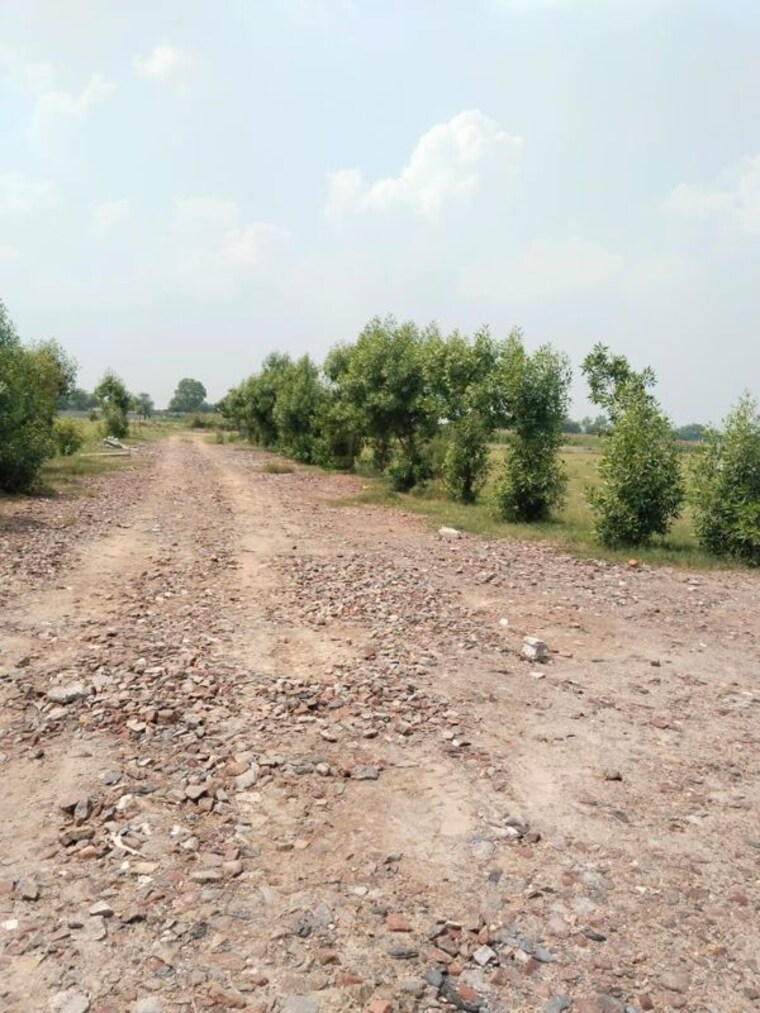 undefined, sohna  102 Sq.Yd. Plot In Sohna Gurgaon 10695012