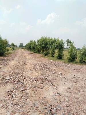 Plot Area in  Plot at Sohna – for Sale