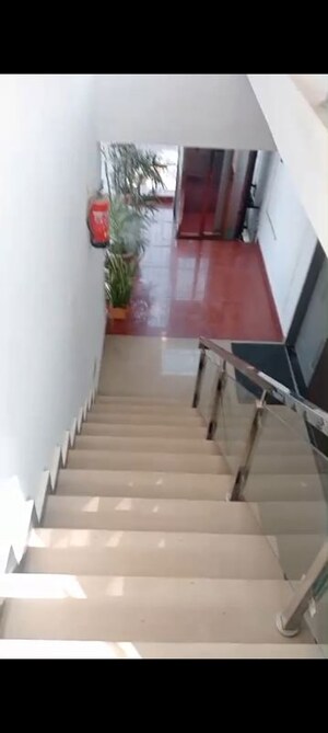 3 BHK Apartment For Rent in RWA Apartments Sector 29, Sector 29