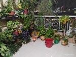 1 BHK 615 Sq.Ft. Apartment in GK Royal Hills