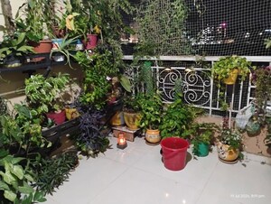 1 BHK Apartment For Sale in GK Royal Hills, Ravet