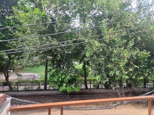 3 BHK Builder Floor – Exterior View View at Sector 52 - for Rent