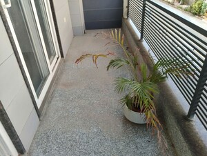 Balcony in 3 BHK Builder Floor at Sector 23 – for Rent