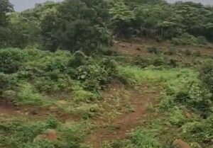 Plot Area in  Land at Harihareshwar – for Sale