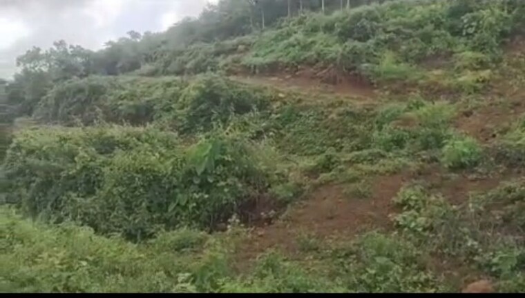 undefined, harihareshwar Commercial Land 480000 Sq.Ft. In Harihareshwar Raigad 10695433