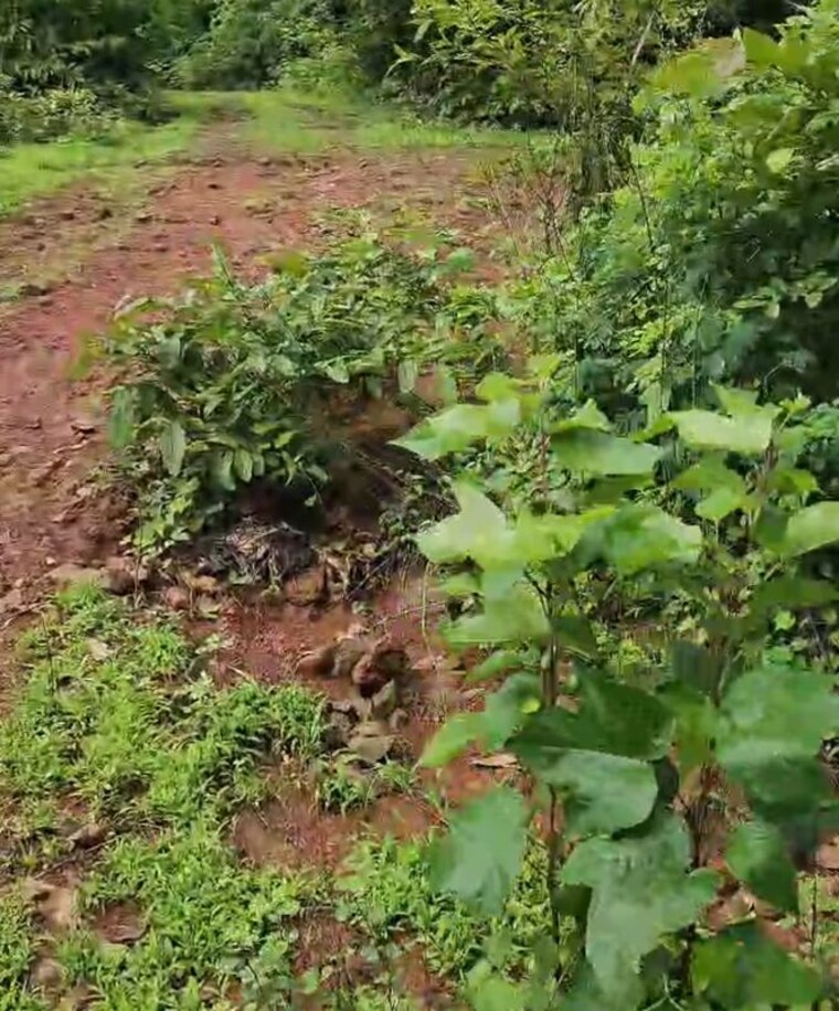 undefined, harihareshwar Commercial Land 480000 Sq.Ft. In Harihareshwar Raigad 10695433