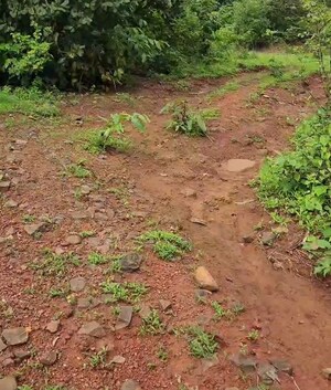 Plot Area in  Land at Harihareshwar – for Sale