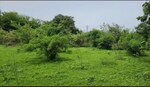 12000 Sq.Ft. Land in Shrivardhan