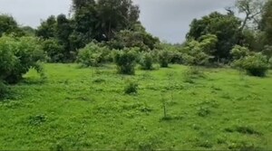  Land – Garden View at Shrivardhan - for Sale