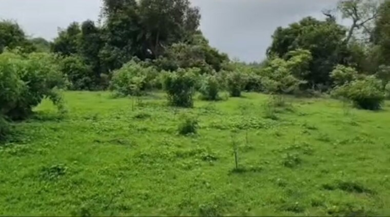 Garden, shrivardhan Commercial Land 12000 Sq.Ft. In Shrivardhan Raigad 10695470
