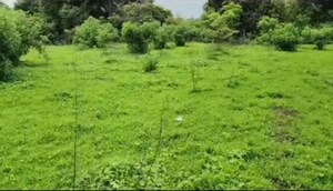  Land – Garden View at Shrivardhan - for Sale