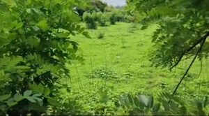  Land – Garden View at Shrivardhan - for Sale