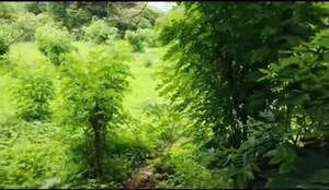  Land – Garden View at Shrivardhan - for Sale