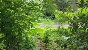  Land – Garden View at Shrivardhan - for Sale