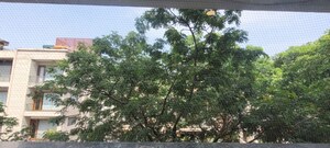 4 BHK Builder Floor For Rent in Green Park
