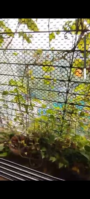 Master Plan in 2 BHK Apartment at Poonam Sagar Complex, Mira Road – for Sale