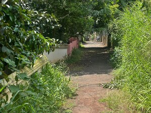 Plot Area in  Plot at Gosaikunnu – for Sale