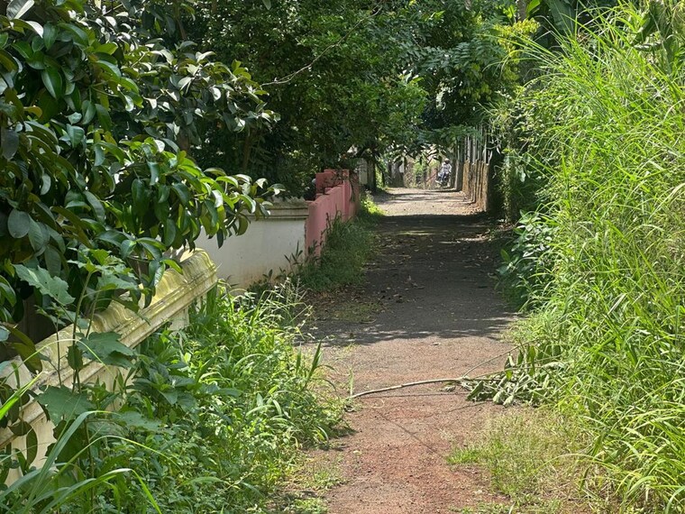 undefined, gosaikunnu  9583 Sq.Ft. Plot In Gosaikunnu Thrissur 10695764