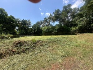  Plot – Garden View at Gosaikunnu - for Sale