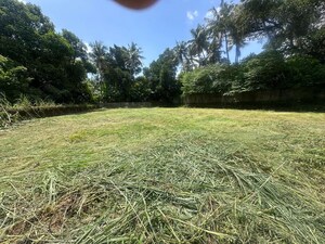  Plot – Garden View at Gosaikunnu - for Sale