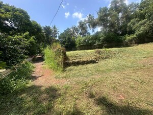 Plot Area in  Plot at Gosaikunnu – for Sale