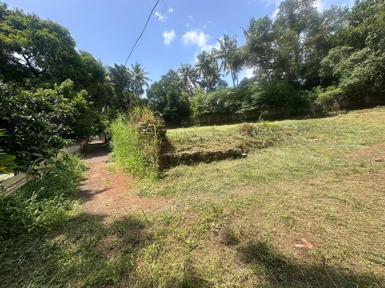 undefined, gosaikunnu  9583 Sq.Ft. Plot In Gosaikunnu Thrissur 10695764